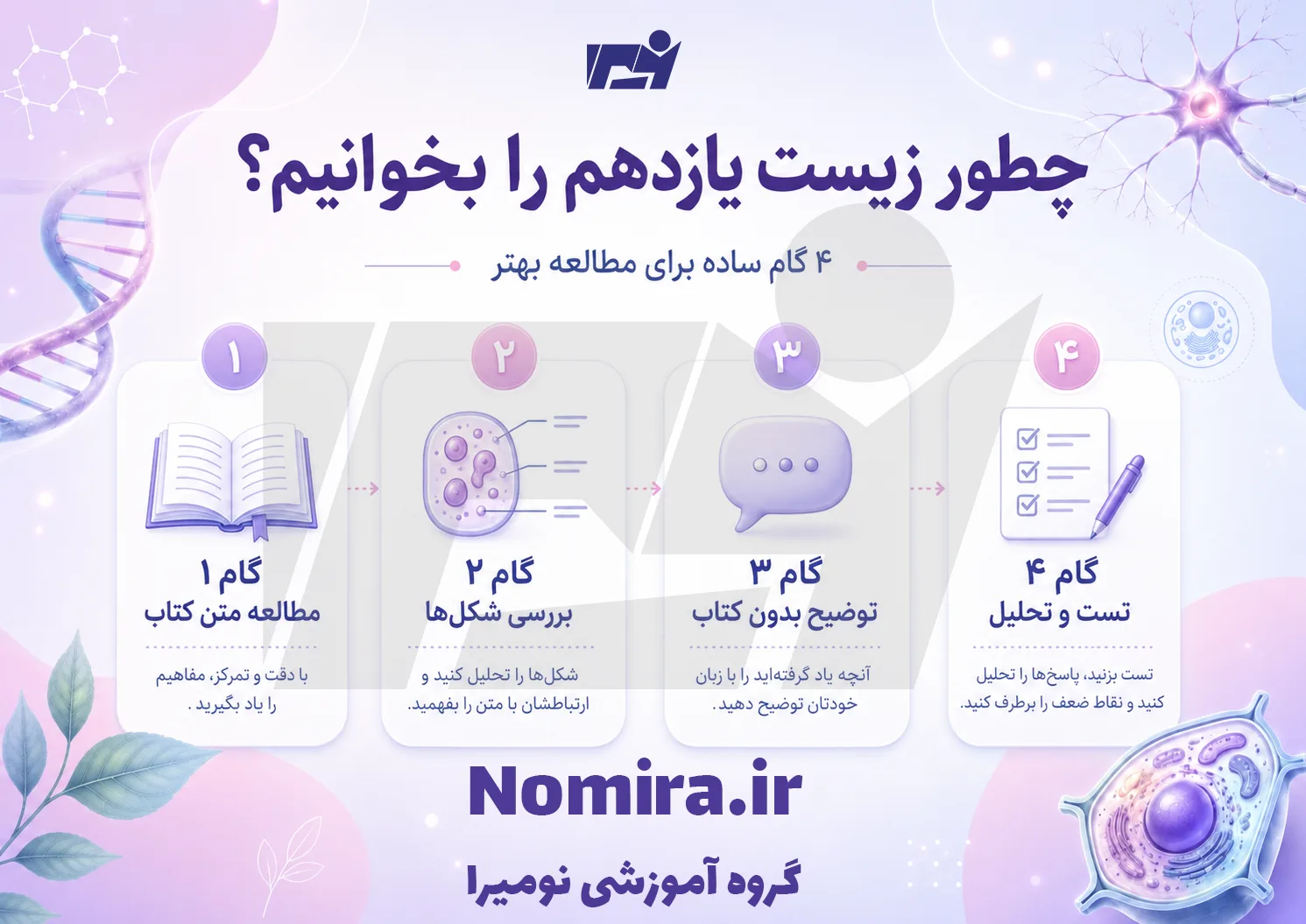 چطور زیست یازدهم را بخوانیم؛ ۴ مرحله مطالعه و تست‌زنی