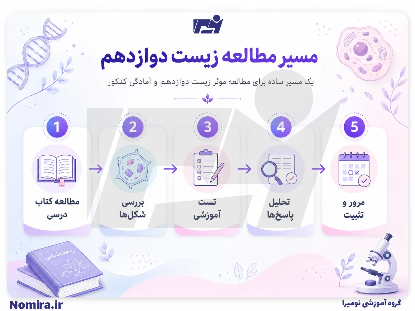 اینفوگرافیک مسیر مطالعه زیست دوازدهم برای کنکور؛ از مطالعه کتاب درسی تا تست، تحلیل پاسخ‌ها و مرور