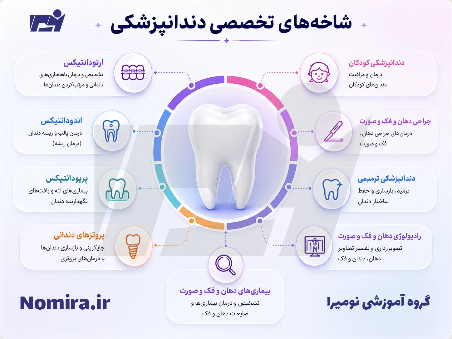 شاخه‌های تخصصی دندانپزشکی و معرفی مهم‌ترین تخصص‌های این رشته