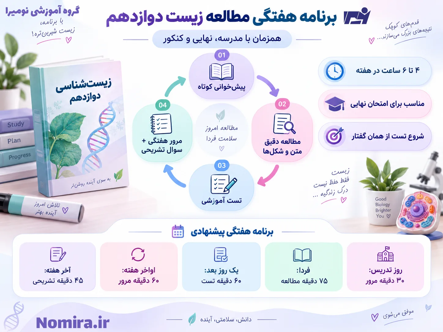 اینفوگرافیک برنامه هفتگی مطالعه زیست دوازدهم تجربی شامل پیش‌خوانی، مطالعه متن و شکل‌ها، تست آموزشی، مرور هفتگی و تمرین تشریحی